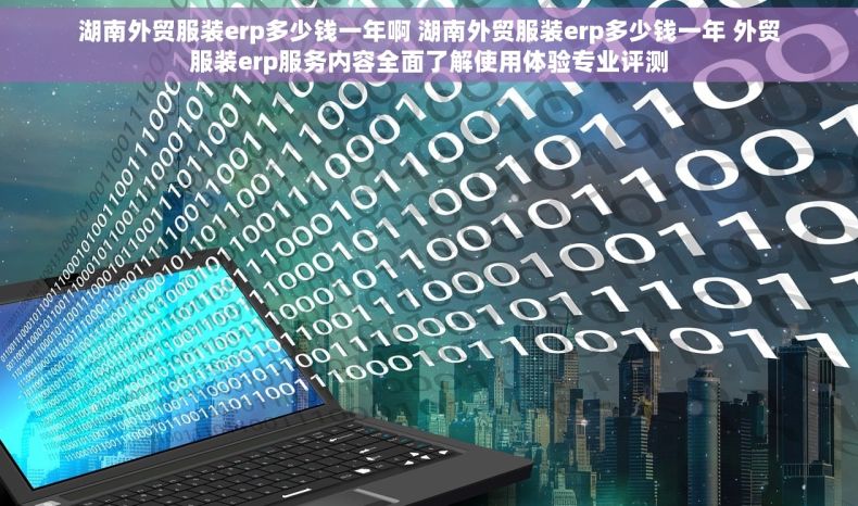 湖南外贸服装erp多少钱一年啊 湖南外贸服装erp多少钱一年 外贸服装erp服务内容全面了解使用体验专业评测