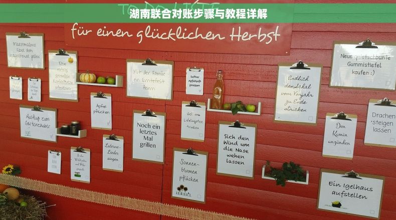 湖南联合对账步骤与教程详解