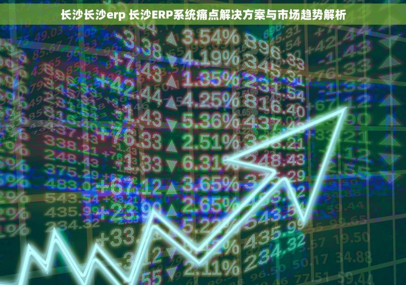 长沙长沙erp 长沙ERP系统痛点解决方案与市场趋势解析