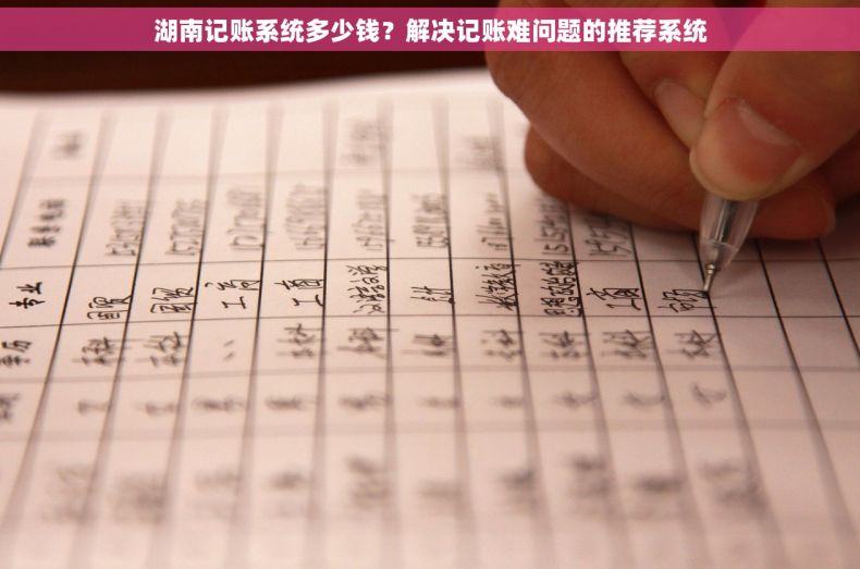 湖南记账系统多少钱？解决记账难问题的推荐系统