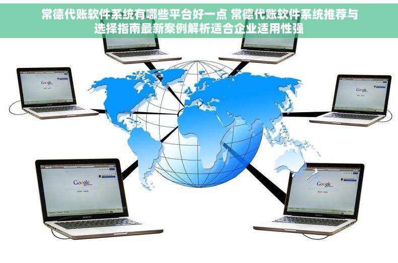 常德代账软件系统有哪些平台好一点 常德代账软件系统推荐与选择指南最新案例解析适合企业适用性强
