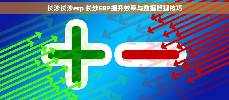 长沙长沙erp 长沙ERP提升效率与数据管理技巧