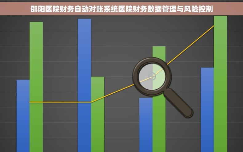 邵阳医院财务自动对账系统医院财务数据管理与风险控制
