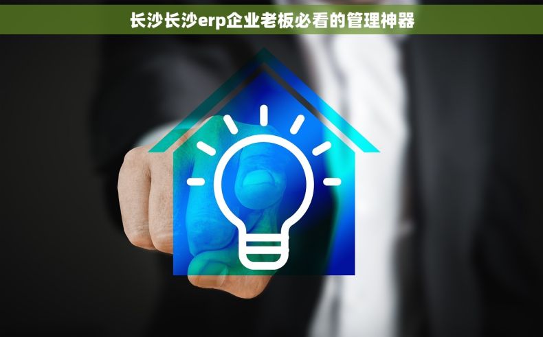 长沙长沙erp企业老板必看的管理神器