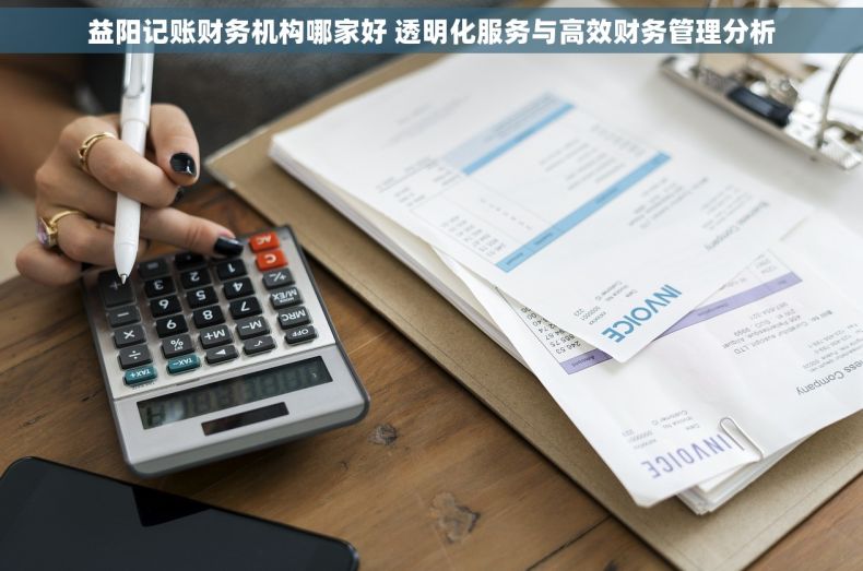 益阳记账财务机构哪家好 透明化服务与高效财务管理分析