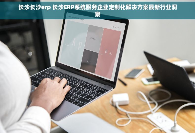 长沙长沙erp 长沙ERP系统服务企业定制化解决方案最新行业洞察