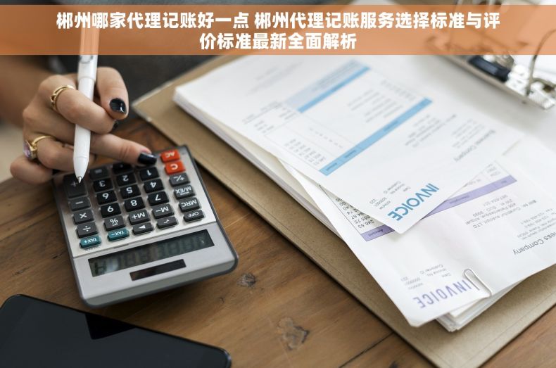郴州哪家代理记账好一点 郴州代理记账服务选择标准与评价标准最新全面解析