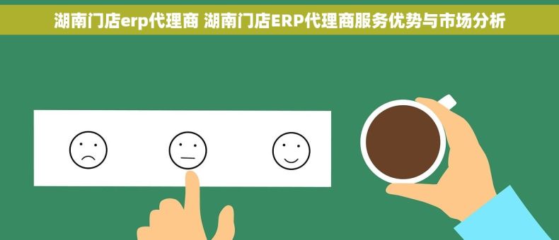 湖南门店erp代理商 湖南门店ERP代理商服务优势与市场分析