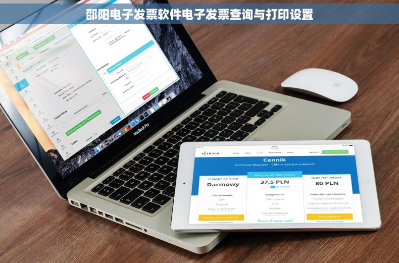 邵阳电子发票软件电子发票查询与打印设置