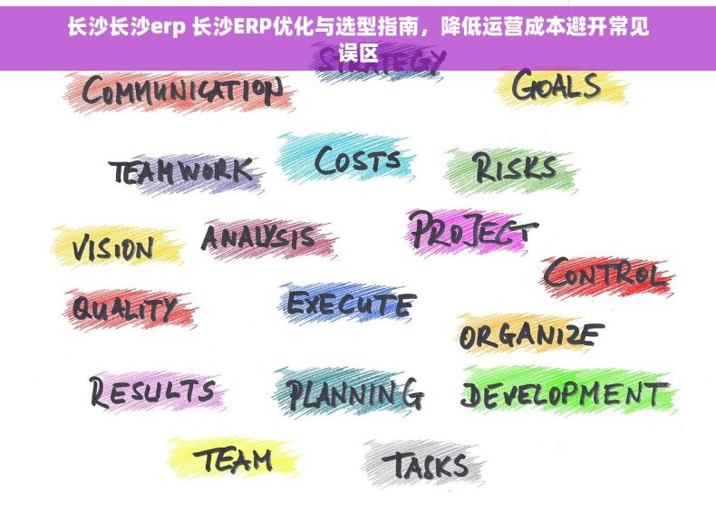 长沙长沙erp 长沙ERP优化与选型指南，降低运营成本避开常见误区