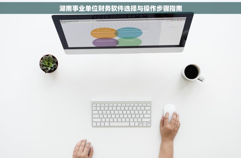 湖南事业单位财务软件选择与操作步骤指南