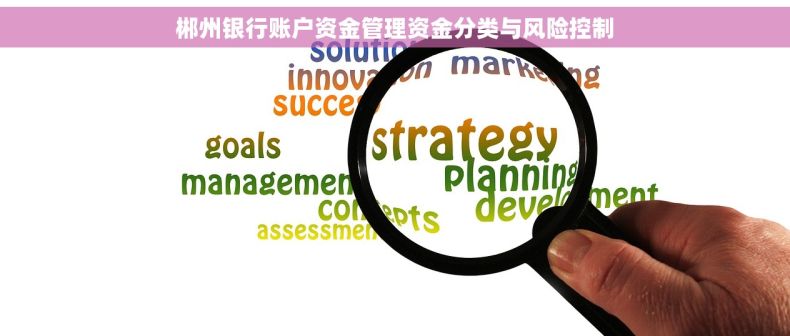 郴州银行账户资金管理资金分类与风险控制