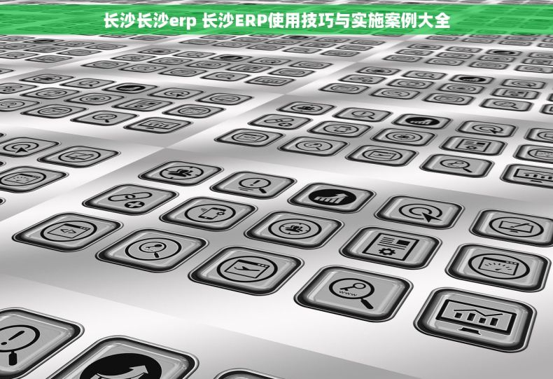 长沙长沙erp 长沙ERP使用技巧与实施案例大全