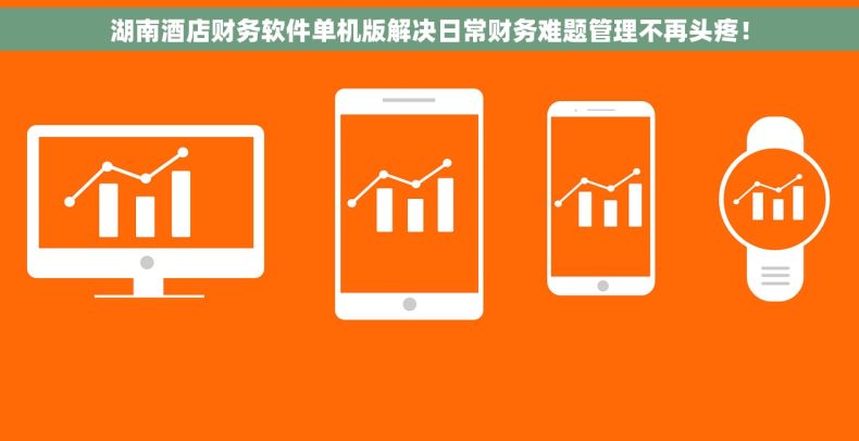 湖南酒店财务软件单机版解决日常财务难题管理不再头疼！