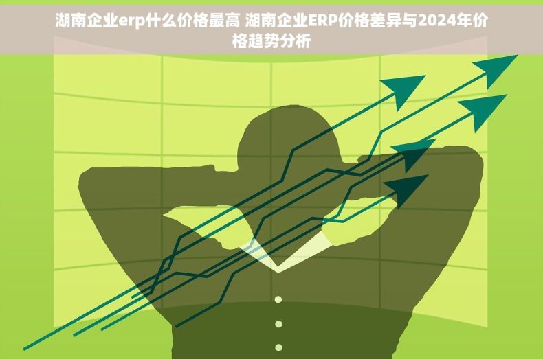湖南企业erp什么价格最高 湖南企业ERP价格差异与2024年价格趋势分析