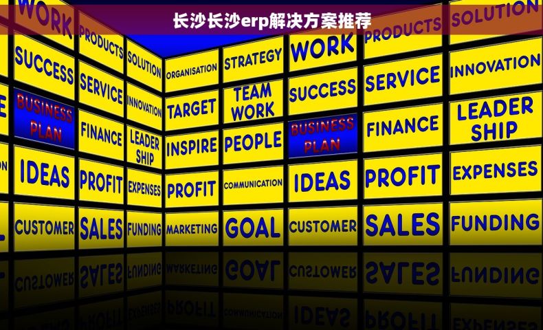 长沙长沙erp解决方案推荐