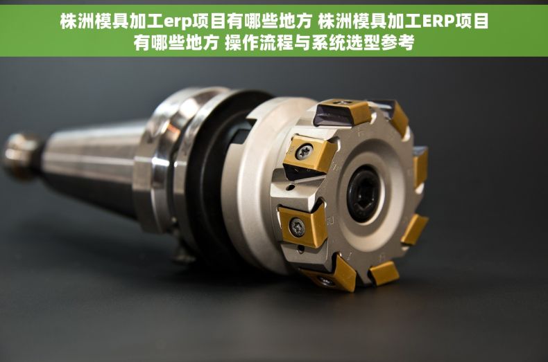 株洲模具加工erp项目有哪些地方 株洲模具加工ERP项目有哪些地方 操作流程与系统选型参考