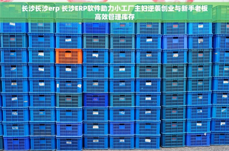 长沙长沙erp 长沙ERP软件助力小工厂主妇逆袭创业与新手老板高效管理库存