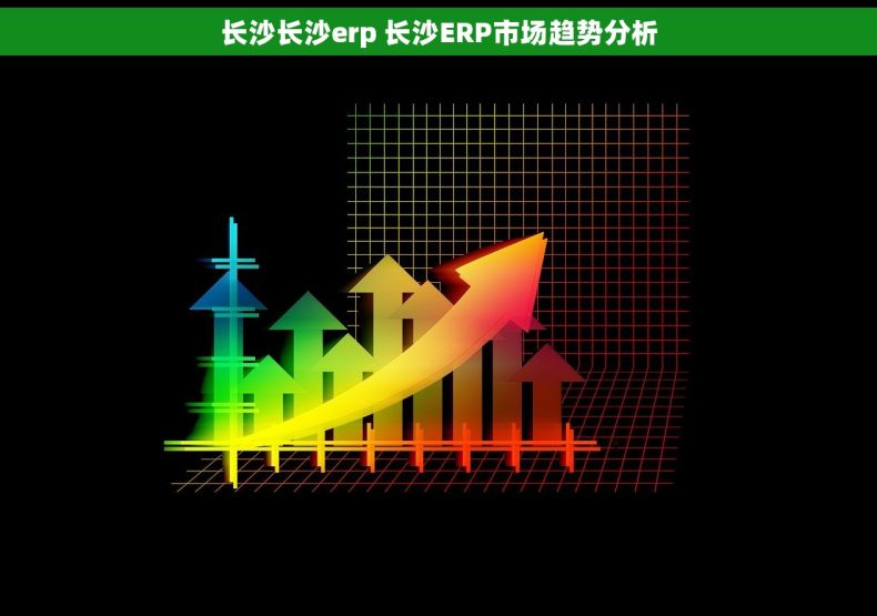 长沙长沙erp 长沙ERP市场趋势分析