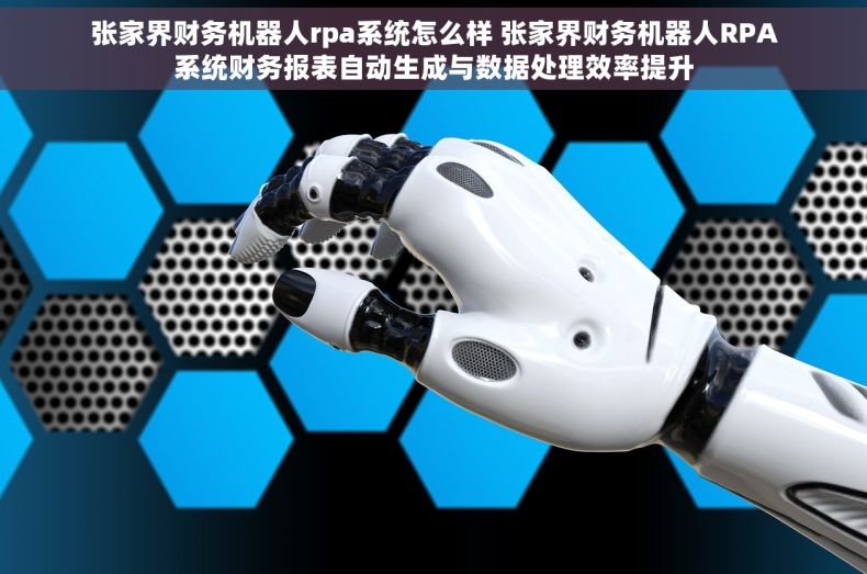 张家界财务机器人rpa系统怎么样 张家界财务机器人RPA系统财务报表自动生成与数据处理效率提升