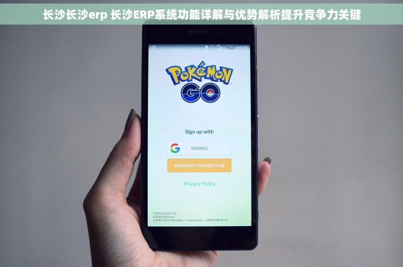 长沙长沙erp 长沙ERP系统功能详解与优势解析提升竞争力关键
