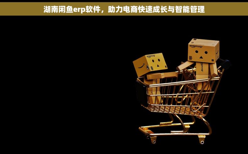 湖南闲鱼erp软件，助力电商快速成长与智能管理