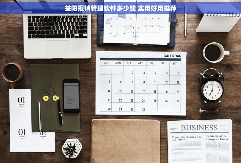 益阳报销管理软件多少钱 实用好用推荐