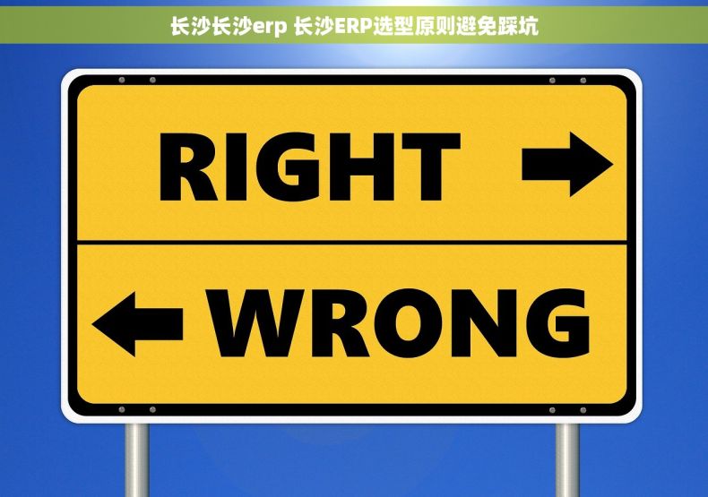 长沙长沙erp 长沙ERP选型原则避免踩坑