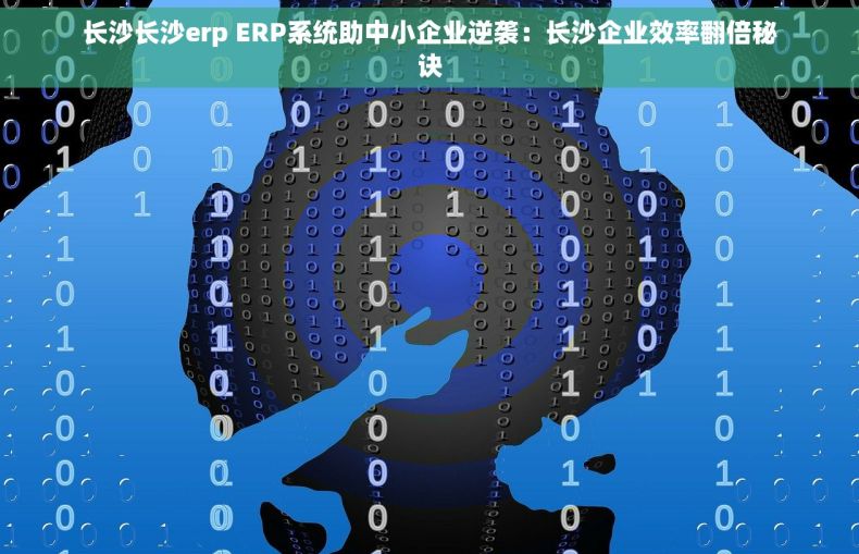 长沙长沙erp ERP系统助中小企业逆袭：长沙企业效率翻倍秘诀