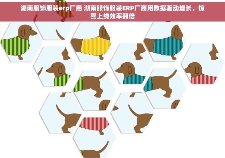 湖南服饰服装erp厂商 湖南服饰服装ERP厂商用数据驱动增长，惊喜上线效率翻倍