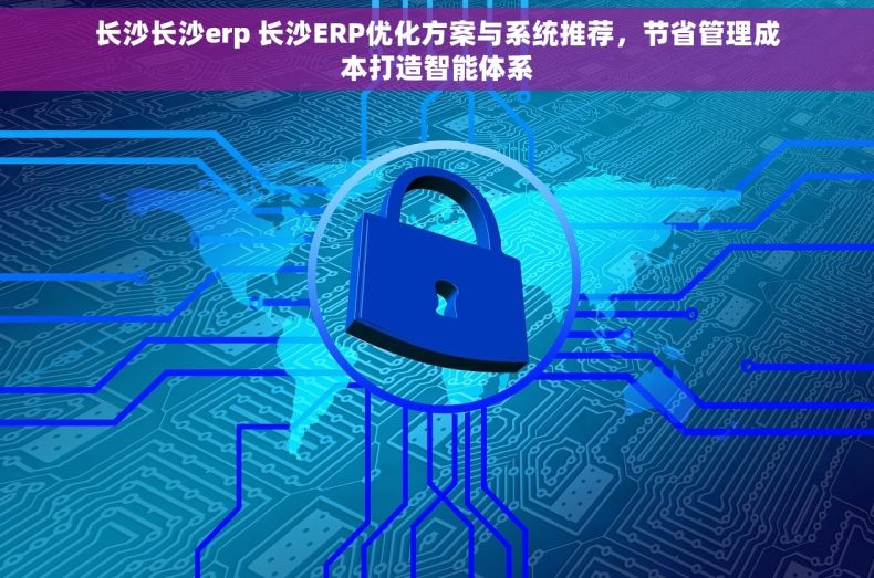长沙长沙erp 长沙ERP优化方案与系统推荐，节省管理成本打造智能体系