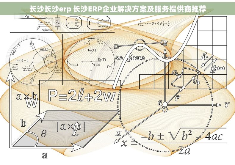 长沙长沙erp 长沙ERP企业解决方案及服务提供商推荐