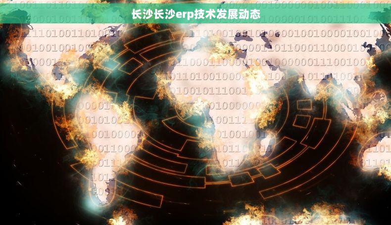 长沙长沙erp技术发展动态