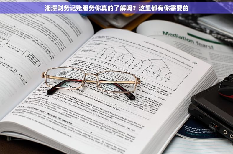 湘潭财务记账服务你真的了解吗？这里都有你需要的