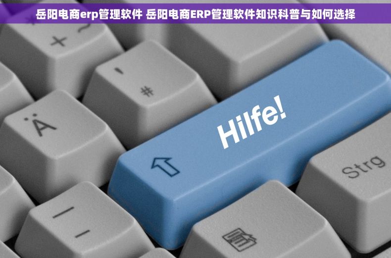 岳阳电商erp管理软件 岳阳电商ERP管理软件知识科普与如何选择