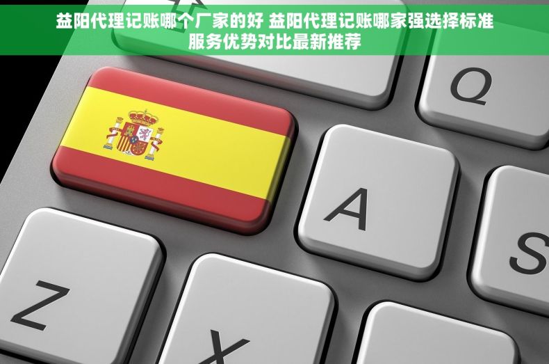 益阳代理记账哪个厂家的好 益阳代理记账哪家强选择标准服务优势对比最新推荐