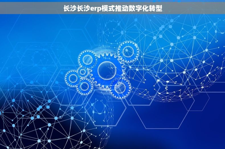 长沙长沙erp模式推动数字化转型