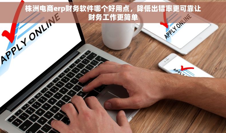 株洲电商erp财务软件哪个好用点，降低出错率更可靠让财务工作更简单