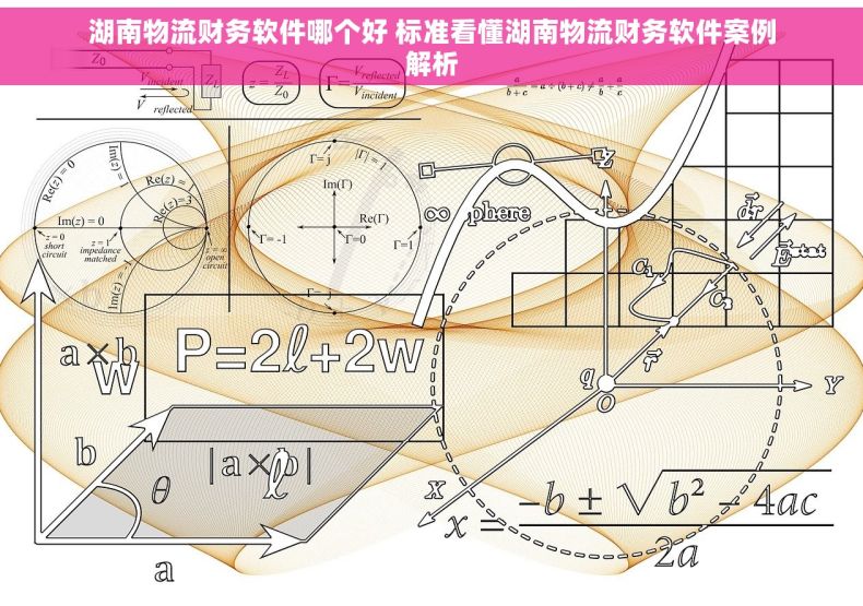 湖南物流财务软件哪个好 标准看懂湖南物流财务软件案例解析