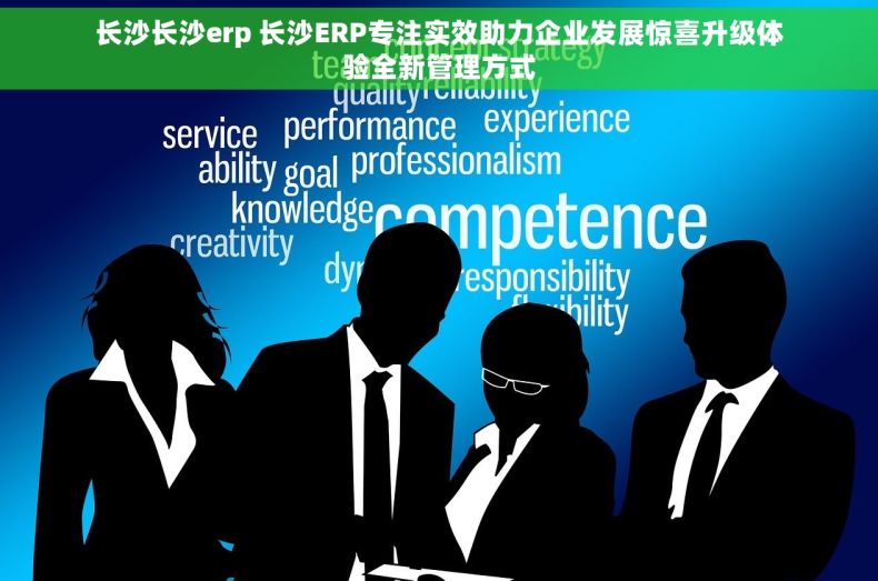 长沙长沙erp 长沙ERP专注实效助力企业发展惊喜升级体验全新管理方式