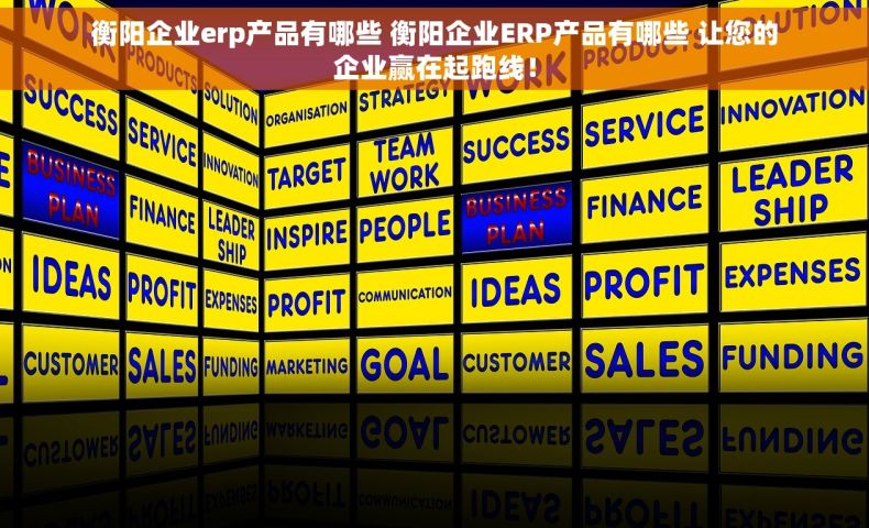 衡阳企业erp产品有哪些 衡阳企业ERP产品有哪些 让您的企业赢在起跑线！