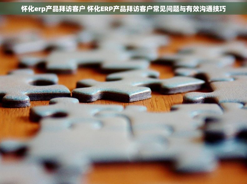 怀化erp产品拜访客户 怀化ERP产品拜访客户常见问题与有效沟通技巧