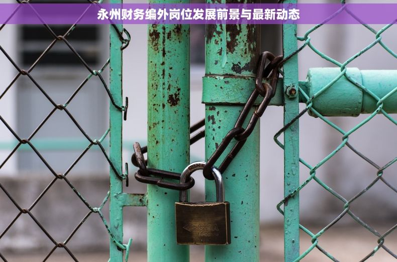 永州财务编外岗位发展前景与最新动态