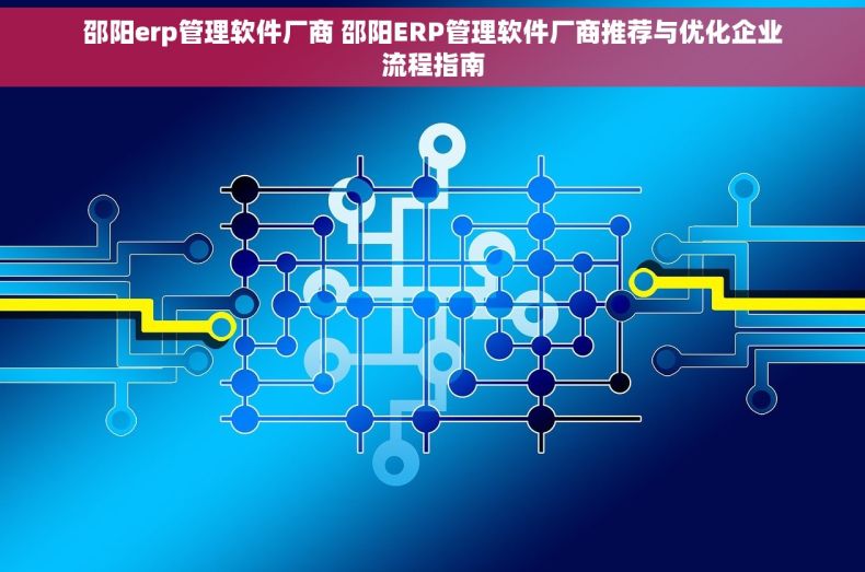 邵阳erp管理软件厂商 邵阳ERP管理软件厂商推荐与优化企业流程指南