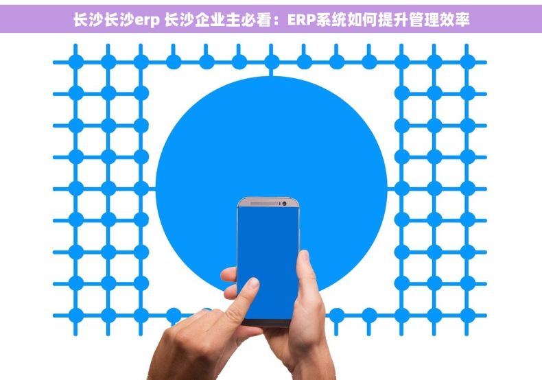 长沙长沙erp 长沙企业主必看：ERP系统如何提升管理效率
