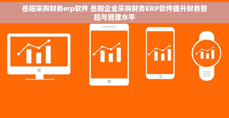 岳阳采购财务erp软件 岳阳企业采购财务ERP软件提升财务管控与管理水平