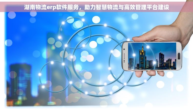 湖南物流erp软件服务，助力智慧物流与高效管理平台建设