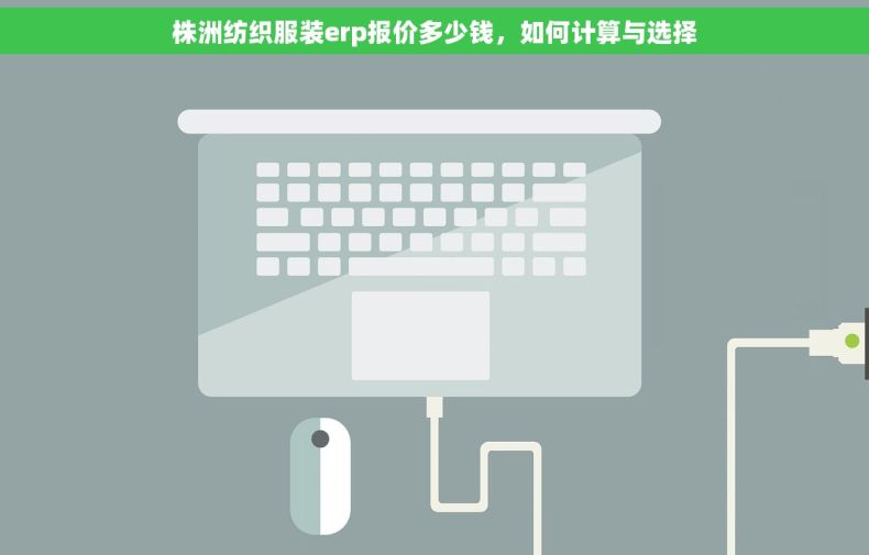 株洲纺织服装erp报价多少钱，如何计算与选择