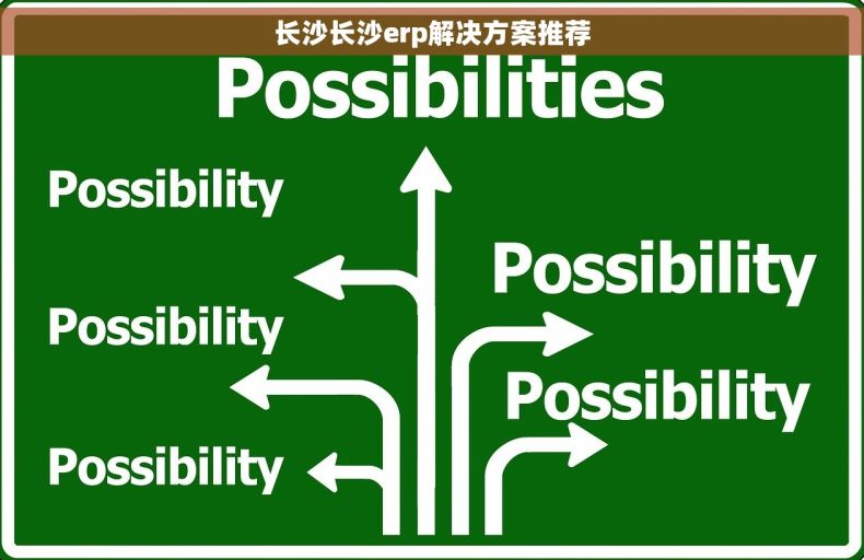 长沙长沙erp解决方案推荐