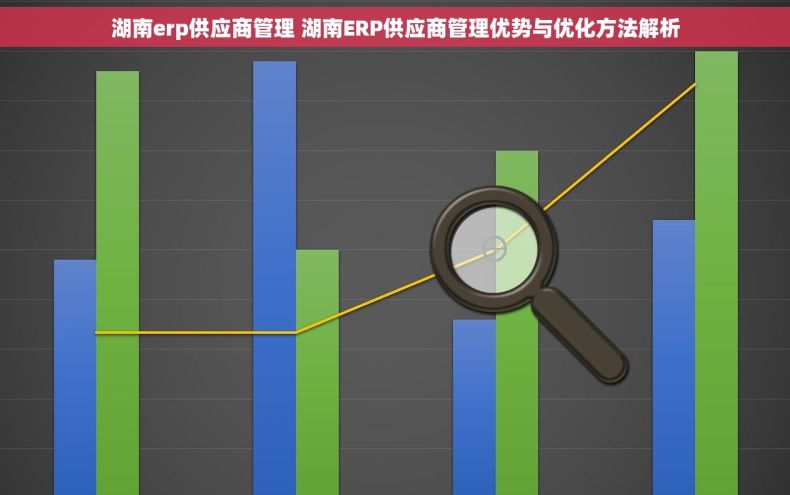 湖南erp供应商管理 湖南ERP供应商管理优势与优化方法解析